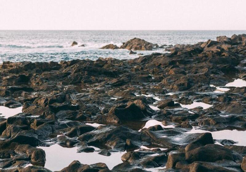 교외 호텔 Rural La Casa Amarilla