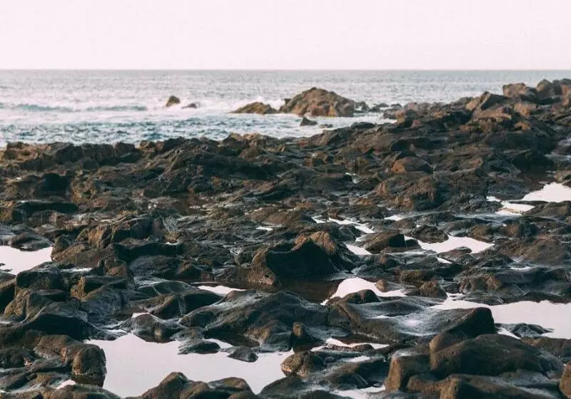 Сельский отель Rural La Casa Amarilla