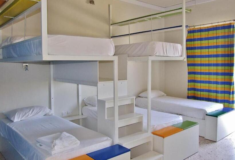 Nsts Campus Residence And Hostel