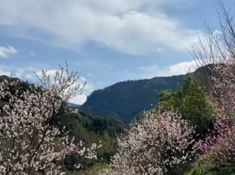 Отель Yufuin Ryoan Wazanhou