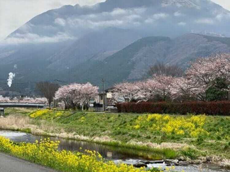 酒店 Yufuin Ryoan Wazanhou