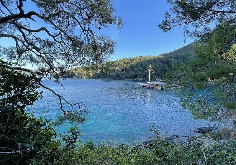 فندق Dalaman Airport Alibaba House