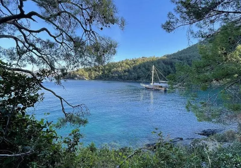 ホテル Dalaman Airport Alibaba House