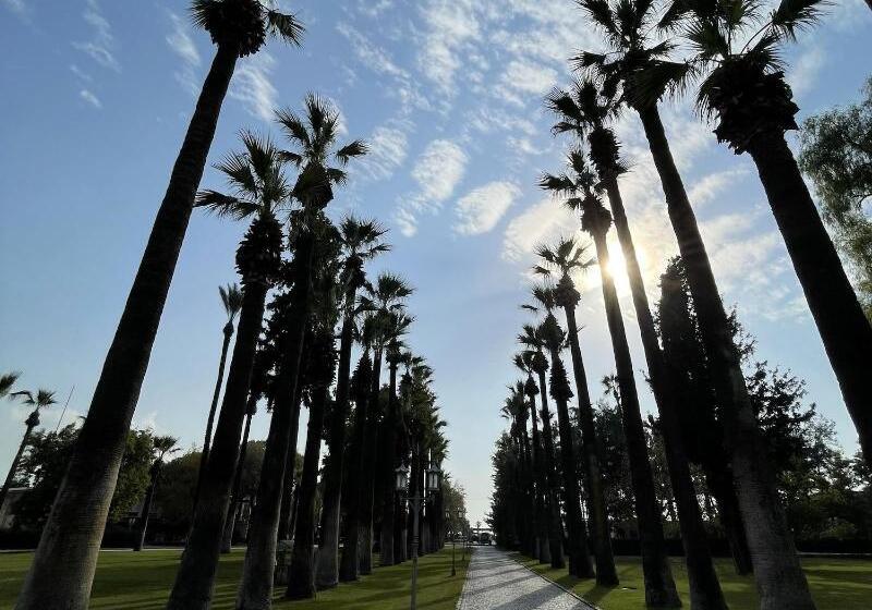 فندق Dalaman Airport Alibaba House