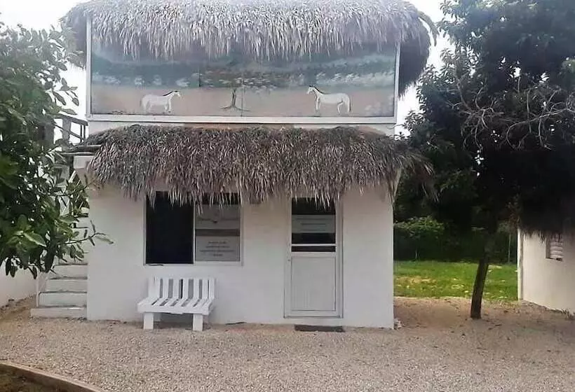 هتل Green Village Bayahibe