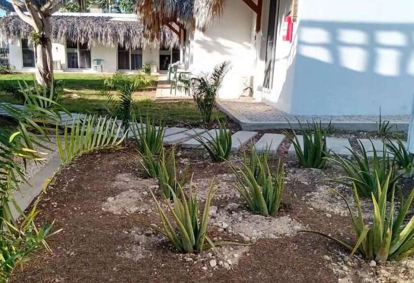 هتل Green Village Bayahibe