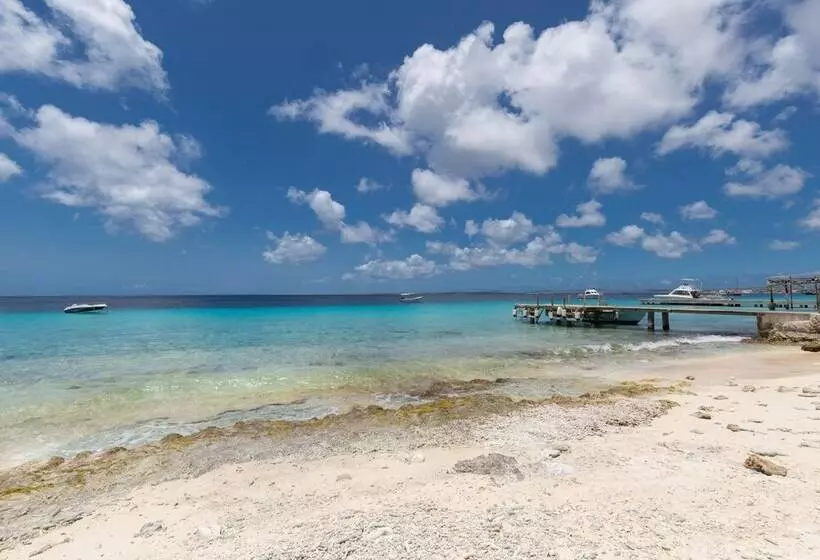 هتل Blachi Koko Apartments Bonaire