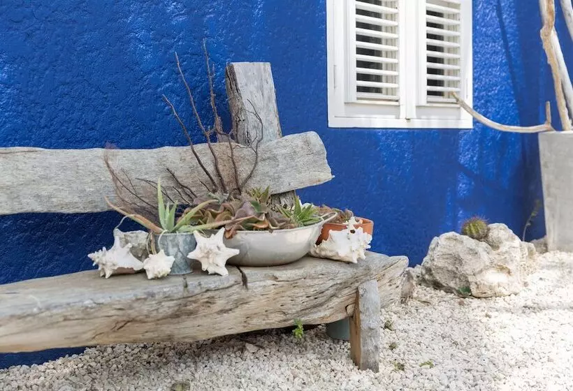 هتل Blachi Koko Apartments Bonaire