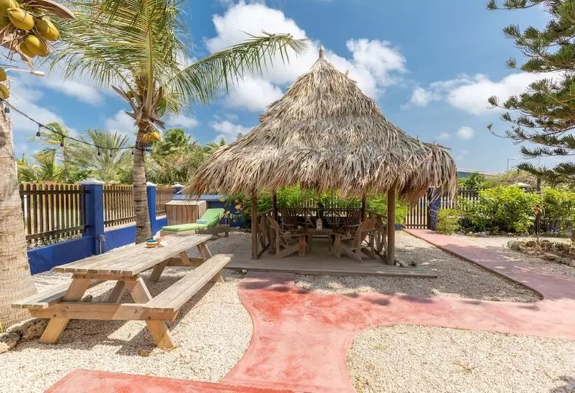 هتل Blachi Koko Apartments Bonaire