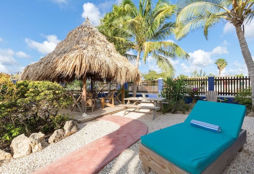 هتل Blachi Koko Apartments Bonaire