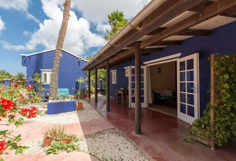 هتل Blachi Koko Apartments Bonaire