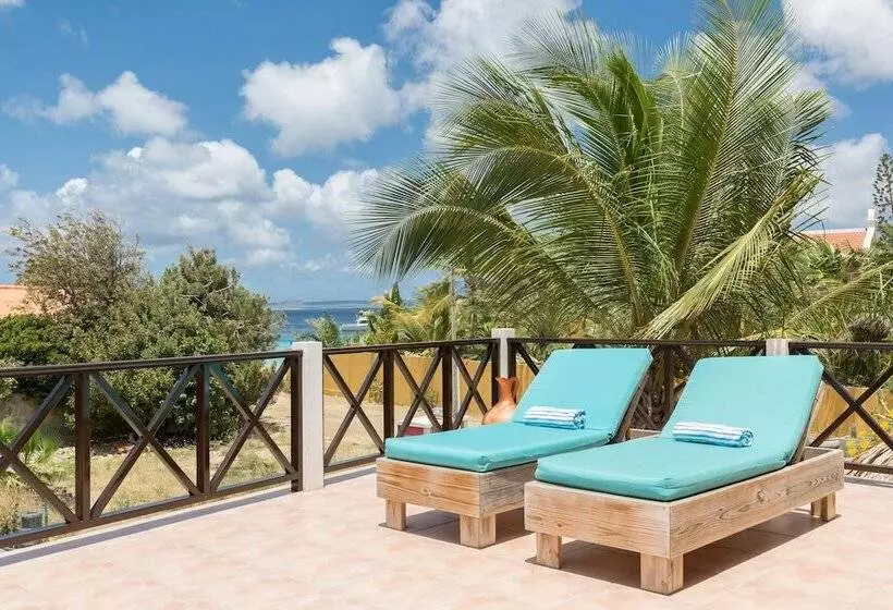 هتل Blachi Koko Apartments Bonaire