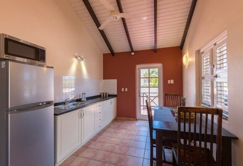 هتل Blachi Koko Apartments Bonaire