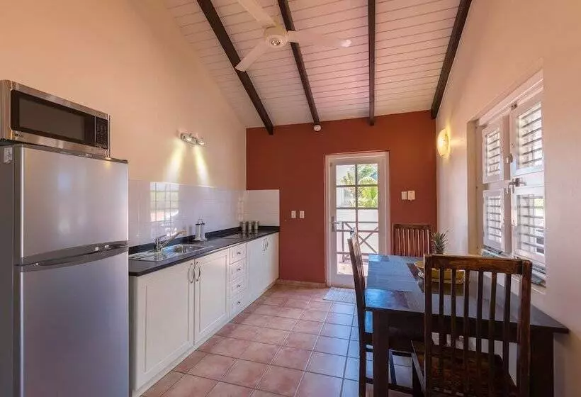 هتل Blachi Koko Apartments Bonaire