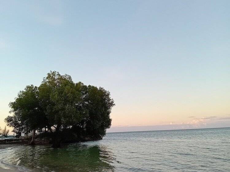 فندق Coconut Tree Village Beach Resort