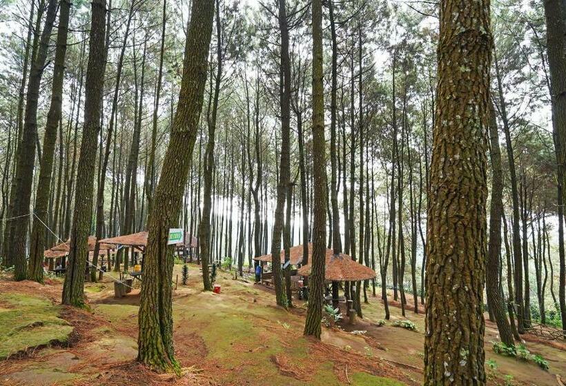 فندق Spot On 90914 Eco Tourism Desa Cipada Bukit Senyum Homestay