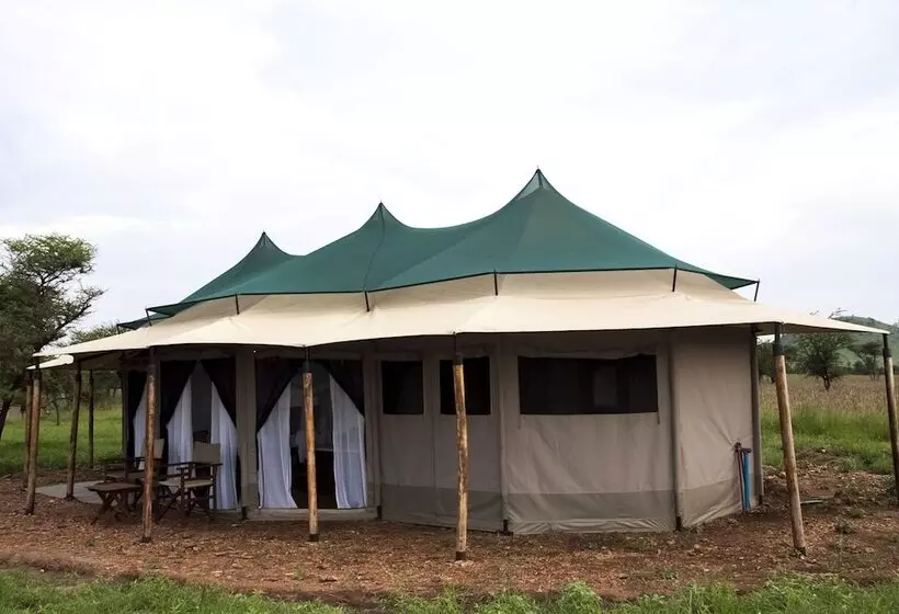 هتل Suenos De Africa Luxury Camp Serengeti