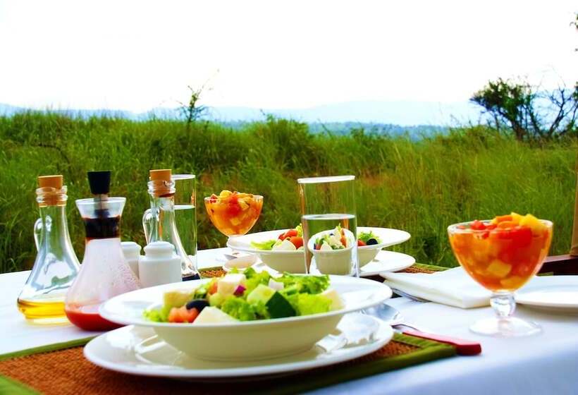 هتل Suenos De Africa Luxury Camp Serengeti