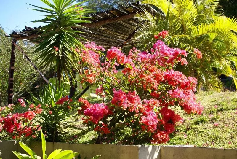 Hotelli Vida Aventura Ranch