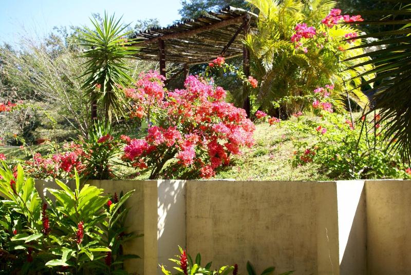 ホテル Vida Aventura Ranch