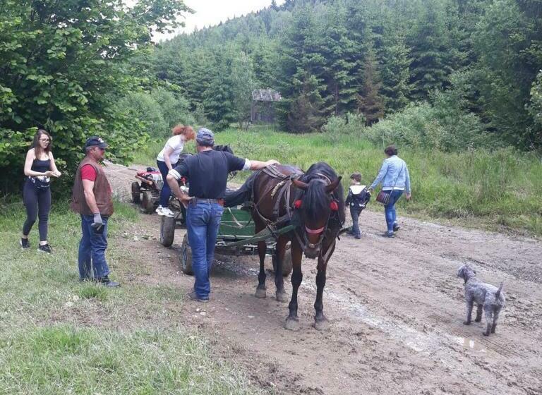 פנסיון Antonia