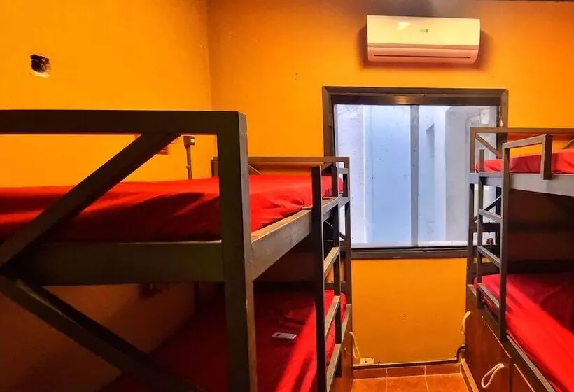 پانسیون Circo Hostel