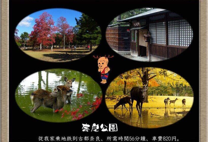 פנסיון Nakagawa's Cozy House