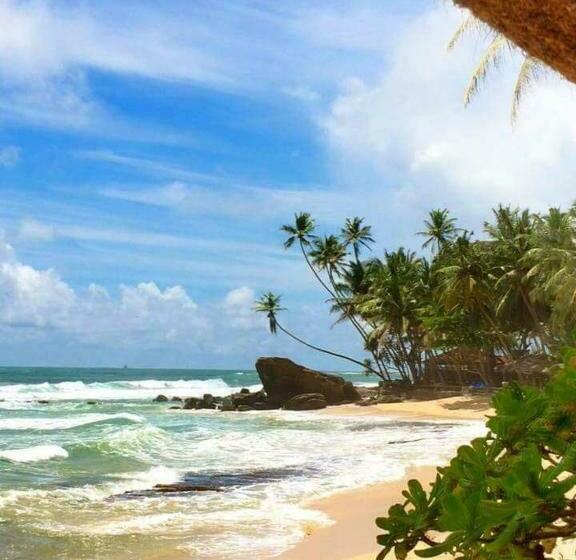 Bed & Breakfast Villa Sun Rising