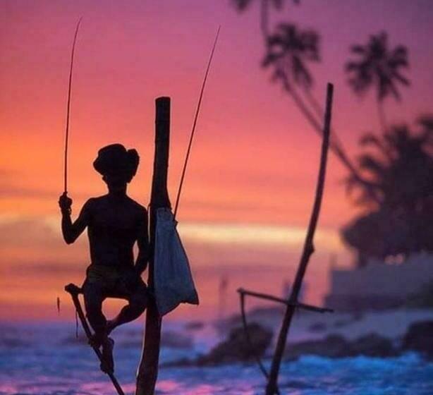 Bed & Breakfast Villa Sun Rising