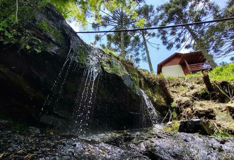 ペンション Recanto Baú   Chalé