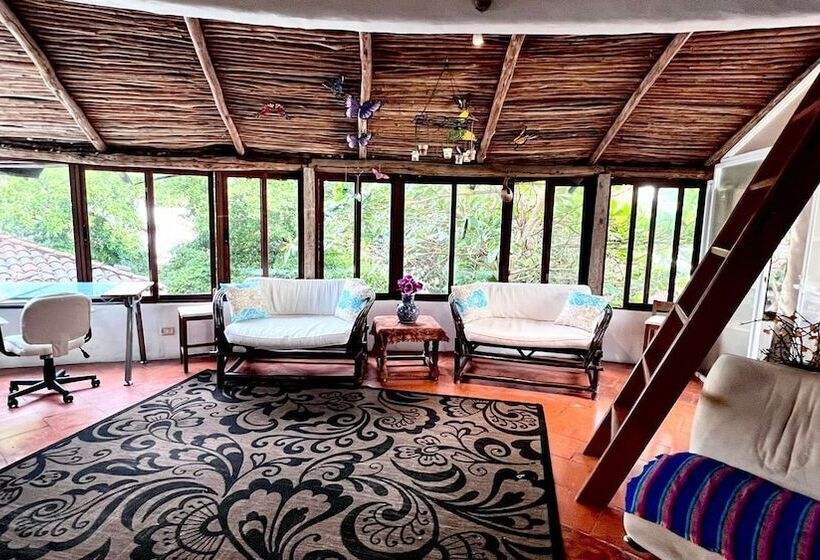 تختخواب و صبحانه Hippie Villa Cancun