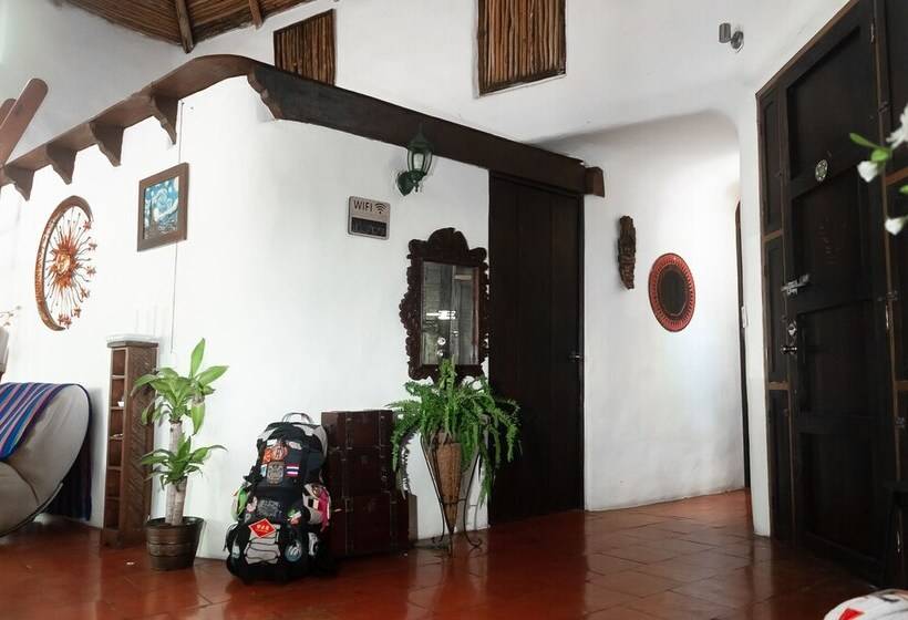 تختخواب و صبحانه Hippie Villa Cancun