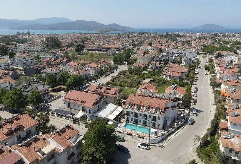 Blueberry Boutique Hotel   Boutique Class