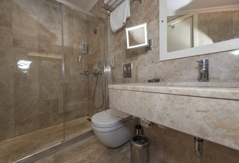 Blueberry Boutique Hotel   Boutique Class