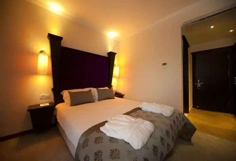 Blueberry Boutique Hotel   Boutique Class