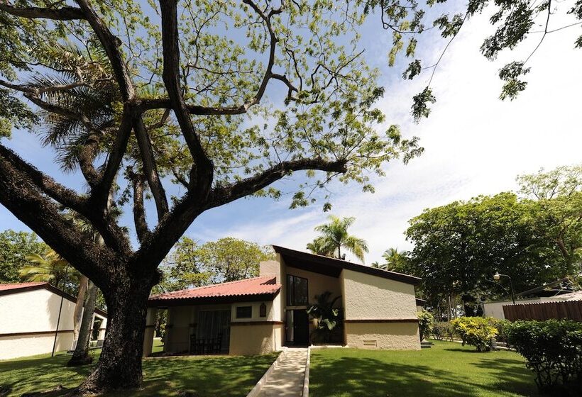 Отель Blue Jacktar