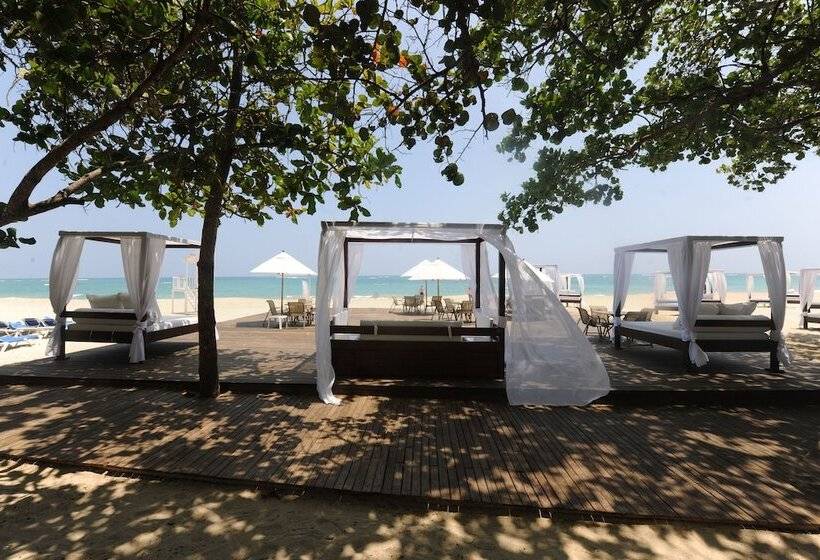 Отель Blue Jacktar