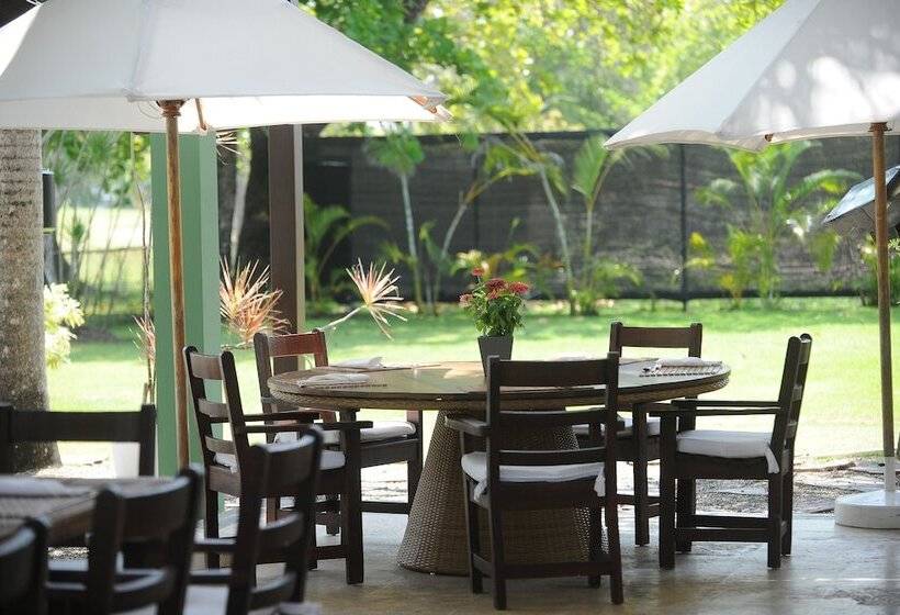 Отель Blue Jacktar