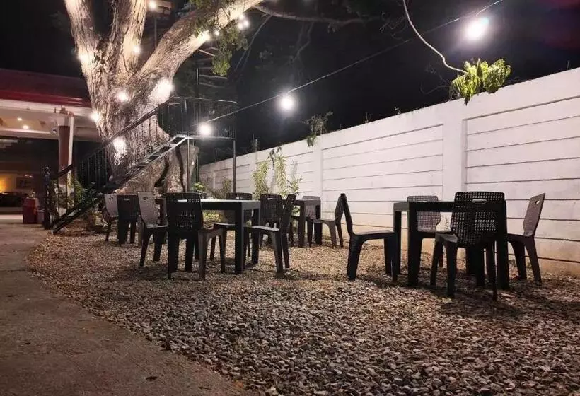 ホテル Cecilia S Inn