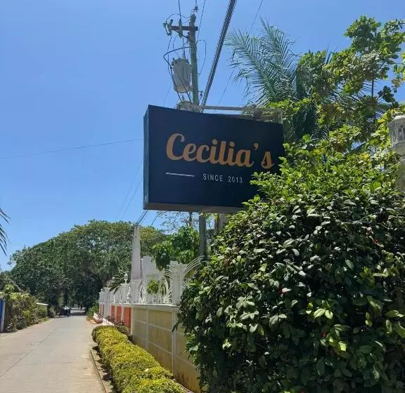 ホテル Cecilia S Inn