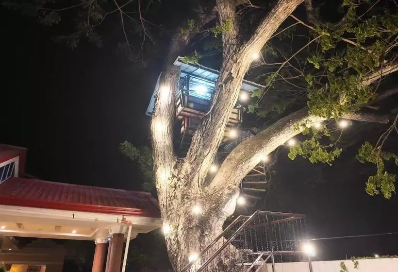 ホテル Cecilia S Inn