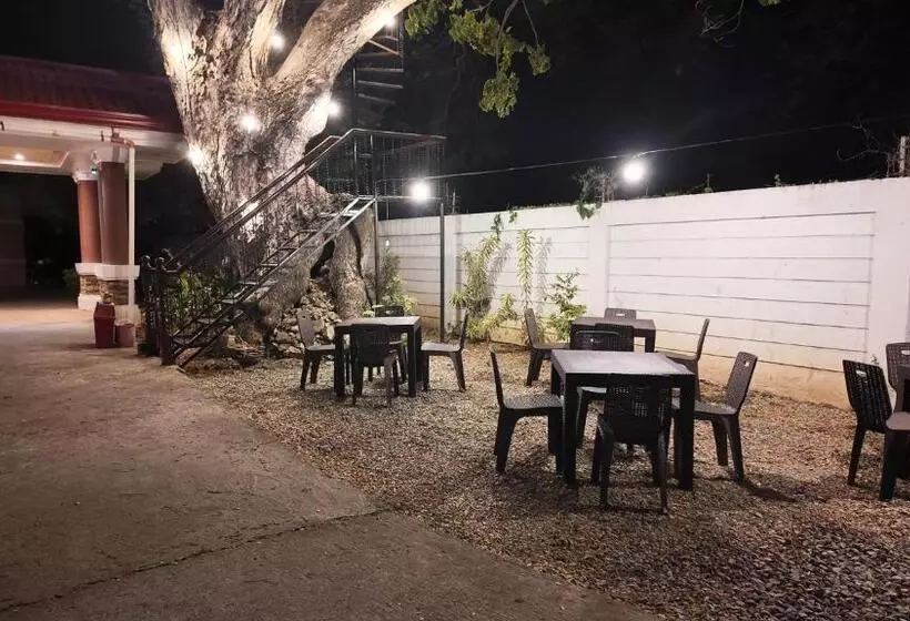 ホテル Cecilia S Inn