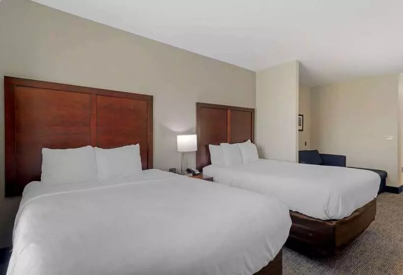 Отель Comfort Suites Stockbridge Atlanta South