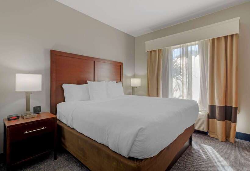 ホテル Comfort Suites Stockbridge Atlanta South