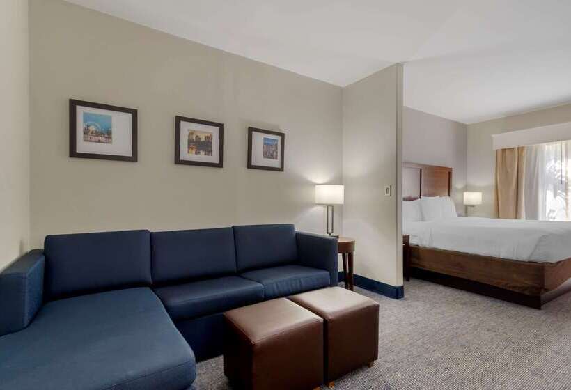 ホテル Comfort Suites Stockbridge Atlanta South