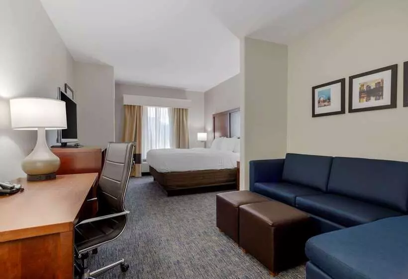 Отель Comfort Suites Stockbridge Atlanta South