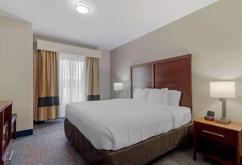 Отель Comfort Suites Stockbridge Atlanta South