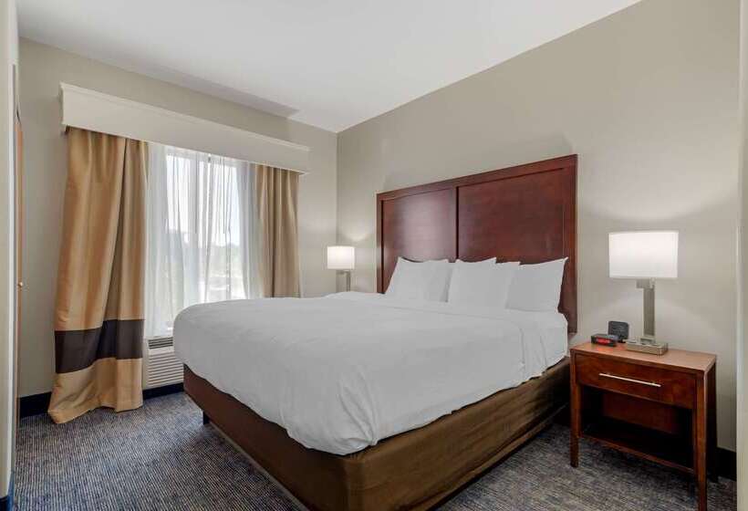 ホテル Comfort Suites Stockbridge Atlanta South