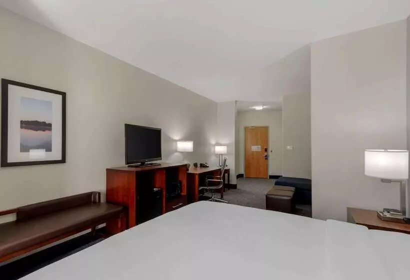 Отель Comfort Suites Stockbridge Atlanta South