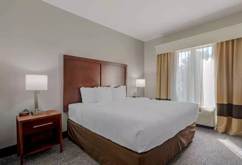 Отель Comfort Suites Stockbridge Atlanta South